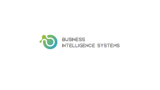 Business Intelligence Systems
