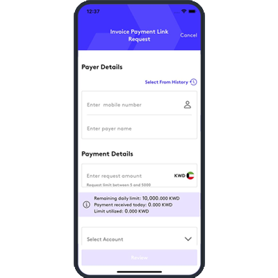 &nbsp;Invoices Payment Links